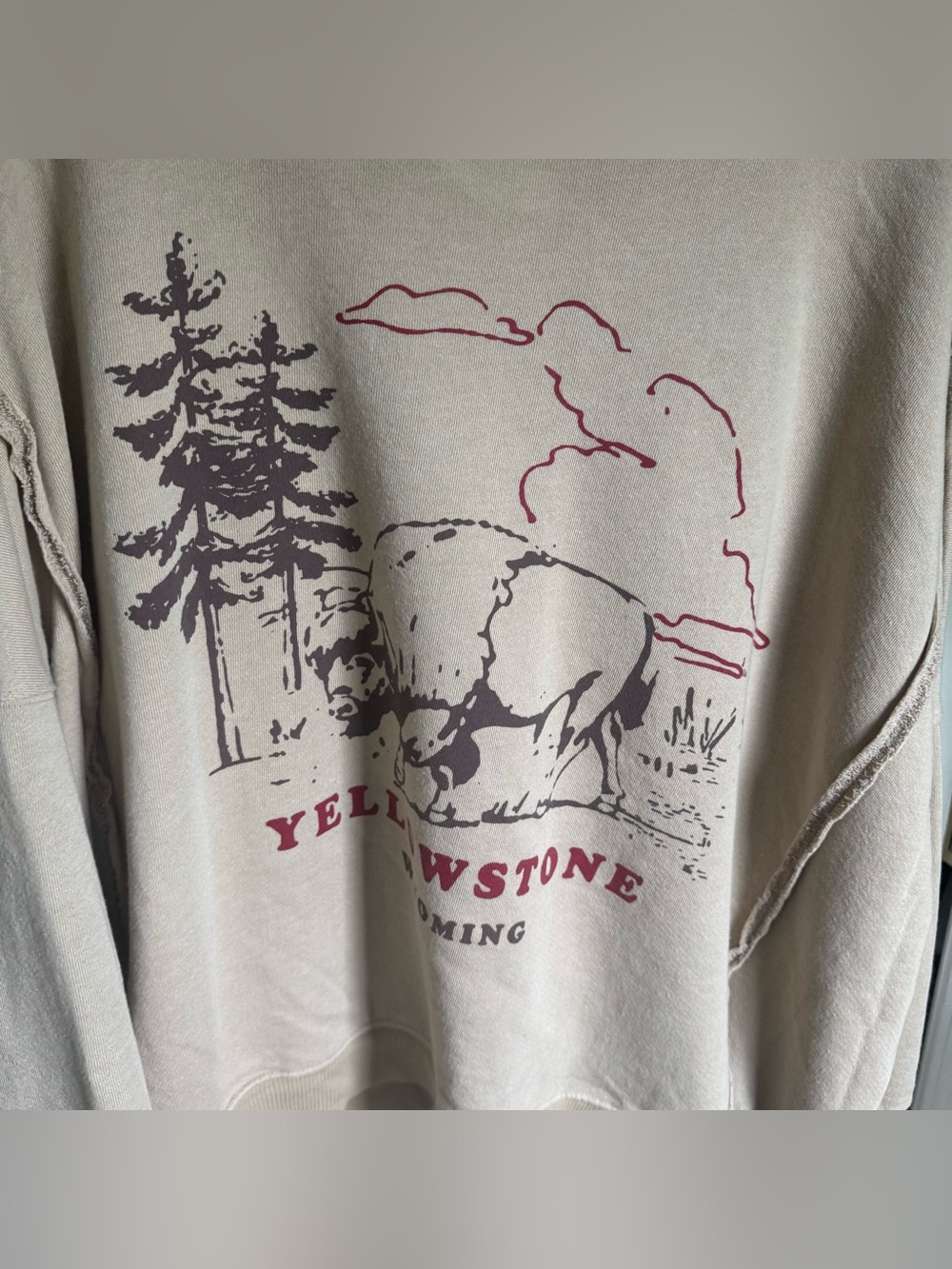 Free People We The Free Yellowstone Bison Camden Sweatshirt Beige Graphic - Picture 5 of 13
